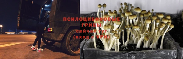 экстази Вяземский
