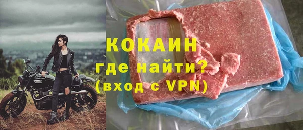 стаф Бородино