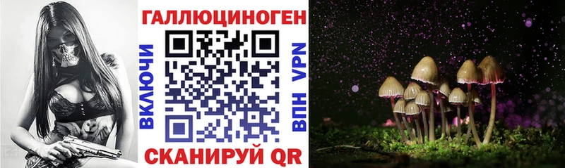 Галлюциногенные грибы Cubensis  Ельня 